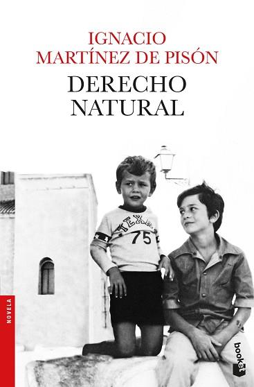 DERECHO NATURAL | 9788432234279 | MARTÍNEZ DE PISÓN, IGNACIO | Llibreria Aqualata | Comprar llibres en català i castellà online | Comprar llibres Igualada