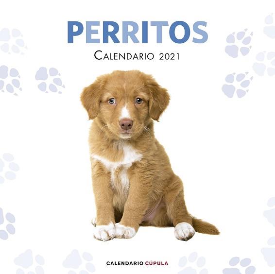 2021 CALENDARIO PERRITOS  | 9788448027766 | AA. VV. | Llibreria Aqualata | Comprar llibres en català i castellà online | Comprar llibres Igualada