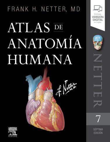 ATLAS DE ANATOMÍA HUMANA (7ª ED.) | 9788491134688 | NETTER, FRANK H. | Llibreria Aqualata | Comprar llibres en català i castellà online | Comprar llibres Igualada