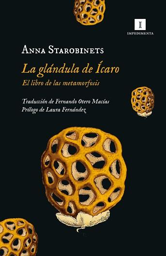 GLÁNDULA DE ÍCARO, LA | 9788419581020 | STAROBINETS, ANNA | Llibreria Aqualata | Comprar llibres en català i castellà online | Comprar llibres Igualada