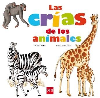 CRIAS DE LOS ANIMALES, LAS | 9788467540291 | HEDELIN, PASCALE | Llibreria Aqualata | Comprar libros en catalán y castellano online | Comprar libros Igualada