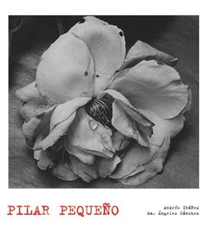 PILAR PEQUEÑO | 9788497856874 | IBAÑEZ, ANDRES / SANCHEZ, MARIA ANGELES | Llibreria Aqualata | Comprar libros en catalán y castellano online | Comprar libros Igualada