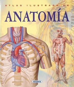 ATLAS ILUSTRADO DE ANATOMIA | 9788430534784 | RIGUTTI, ADRIANA | Llibreria Aqualata | Comprar libros en catalán y castellano online | Comprar libros Igualada