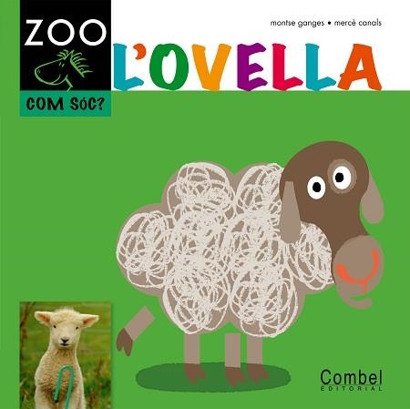 OVELLA, L' (ZOO COM SOC) - P4 | 9788498256369 | GANGES, MONTSE / CANALS, MERCE (IL·LUSTR) | Llibreria Aqualata | Comprar libros en catalán y castellano online | Comprar libros Igualada