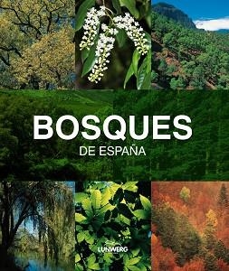 BOSQUES DE ESPAÑA | 9788497857482 | JOAQUÍN ARAÚJO | Llibreria Aqualata | Comprar libros en catalán y castellano online | Comprar libros Igualada