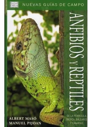 ANFIBIOS Y REPTILES (NUEVAS GUIAS DE CAMPO) | 9788428213684 | MASO, ALBERT / PIJOAN, MANUEL | Llibreria Aqualata | Comprar llibres en català i castellà online | Comprar llibres Igualada