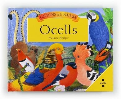 OCELLS (SONS DE LA NATURA) | 9788466128414 | PLEDGER, MAURICE | Llibreria Aqualata | Comprar libros en catalán y castellano online | Comprar libros Igualada