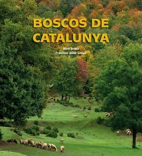 BOSCOS DE CATALUNYA | 9788497857895 | Llibreria Aqualata | Comprar libros en catalán y castellano online | Comprar libros Igualada