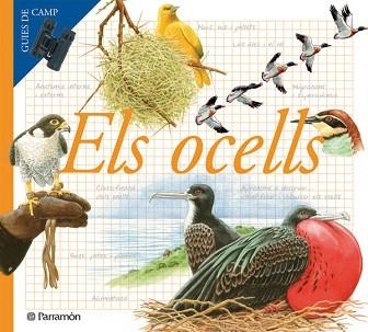 OCELLS, ELS | 9788434228283 | Llibreria Aqualata | Comprar libros en catalán y castellano online | Comprar libros Igualada