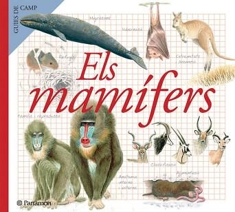 MAMIFERS (GUIES DE CAMP) | 9788434228368 | VVAA | Llibreria Aqualata | Comprar libros en catalán y castellano online | Comprar libros Igualada