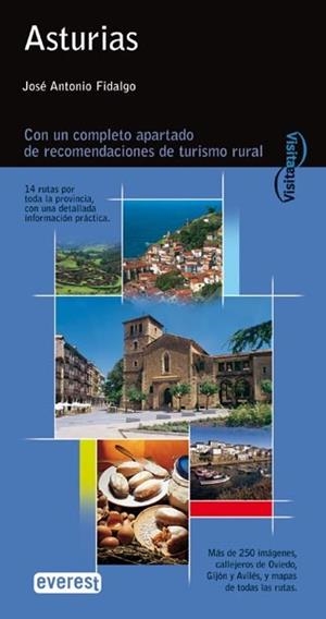 ASTURIAS (VISITA A VISITA) | 9788424105396 | FIDALGO SANCHEZ, JOSE ANTONIO | Llibreria Aqualata | Comprar libros en catalán y castellano online | Comprar libros Igualada
