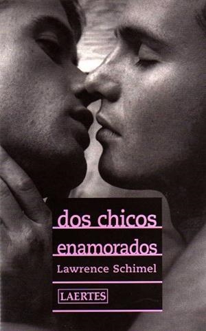 DOS CHICOS ENAMORADOS (REY DE BASTOS, 37) | 9788475844640 | SCHIMEL, LAWRENCE | Llibreria Aqualata | Comprar libros en catalán y castellano online | Comprar libros Igualada