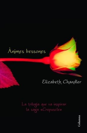 ÀNIMES BESSONES | 9788466415101 | CHANDLER, ELIZABETH | Llibreria Aqualata | Comprar llibres en català i castellà online | Comprar llibres Igualada