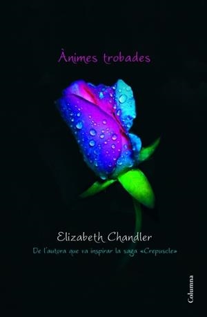 ÀNIMES TROBADES | 9788466415095 | CHANDLER, ELIZABETH | Llibreria Aqualata | Comprar llibres en català i castellà online | Comprar llibres Igualada