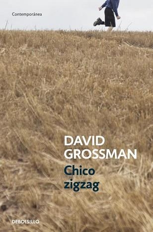 CHICO ZIGZAG | 9788499894805 | GROSSMAN,DAVID | Llibreria Aqualata | Comprar llibres en català i castellà online | Comprar llibres Igualada