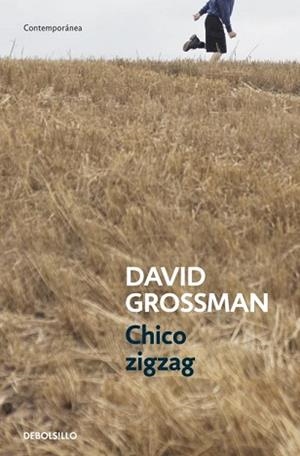 CHICO ZIGZAG | 9788499894805 | GROSSMAN,DAVID | Llibreria Aqualata | Comprar llibres en català i castellà online | Comprar llibres Igualada