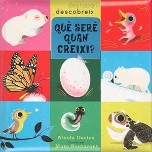 QUÈ SERÉ QUAN CREIXI. DESTAPA I DESCOBREIX | 9788426139085 | DAVIES, NICHOLA / BOUTAVANT, MARC | Llibreria Aqualata | Comprar llibres en català i castellà online | Comprar llibres Igualada