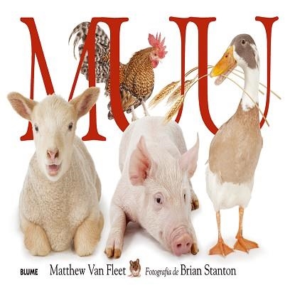 MUU (CATALAN) | 9788498016567 | VAN FLEET, MATTHEW / STANTON, BRIAN | Llibreria Aqualata | Comprar llibres en català i castellà online | Comprar llibres Igualada