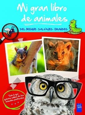 MI GRAN LIBRO DE ANIMALES AZUL. DEL BOSQUE - SALVAJES - GRANDES | 9788408008484 | YOYO | Llibreria Aqualata | Comprar libros en catalán y castellano online | Comprar libros Igualada