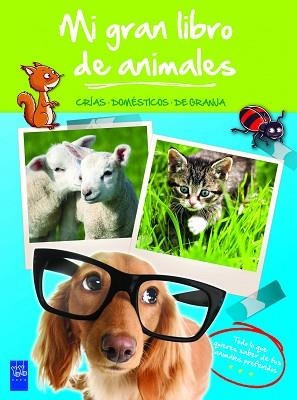 MI GRAN LIBRO DE ANIMALES VERDE. CRÍAS. DOMÉSTICOS. DE GRANJA | 9788408008491 | YOYO | Llibreria Aqualata | Comprar libros en catalán y castellano online | Comprar libros Igualada