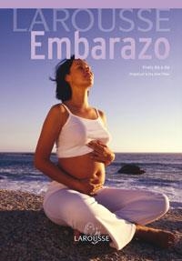 LAROUSSE DEL EMBARAZO | 9788483328651 | THEAU, ANNE | Llibreria Aqualata | Comprar llibres en català i castellà online | Comprar llibres Igualada