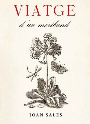 VIATGE D'UN MORIBUND | 9788473291736 | SALES, JOAN | Llibreria Aqualata | Comprar llibres en català i castellà online | Comprar llibres Igualada