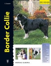 BORDER COLLIE | 9788425513053 | SUSSAM, ESTEPHEN | Llibreria Aqualata | Comprar libros en catalán y castellano online | Comprar libros Igualada