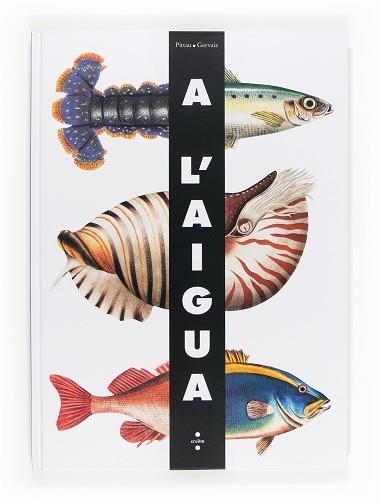 A L'AIGUA | 9788466130899 | PITTAU, FRANCESCO/GERVAIS, BERNADETTE | Llibreria Aqualata | Comprar libros en catalán y castellano online | Comprar libros Igualada
