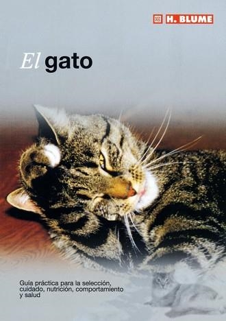 GATO, EL | 9788489840775 | Llibreria Aqualata | Comprar libros en catalán y castellano online | Comprar libros Igualada