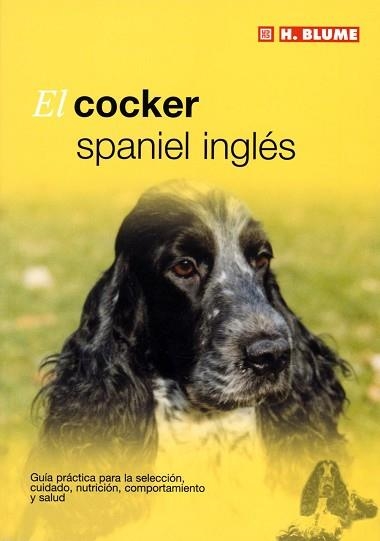 COCKER SPANIEL INGLÉS, EL | 9788489840782 | Llibreria Aqualata | Comprar libros en catalán y castellano online | Comprar libros Igualada