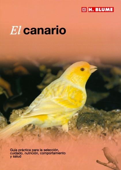 CANARIO, EL | 9788489840874 | Llibreria Aqualata | Comprar libros en catalán y castellano online | Comprar libros Igualada