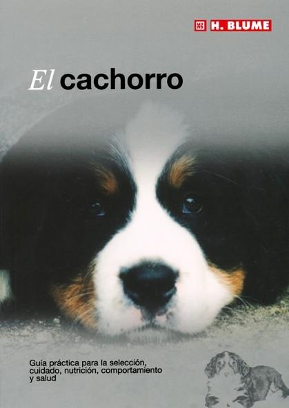 CACHORRO, EL | 9788489840898 | Llibreria Aqualata | Comprar libros en catalán y castellano online | Comprar libros Igualada