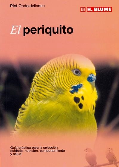PERIQUITO,EL | 9788489840836 | ONDERDELINDEN, PIET | Llibreria Aqualata | Comprar libros en catalán y castellano online | Comprar libros Igualada