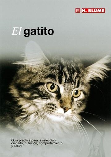 GATITO, EL | 9788489840843 | Llibreria Aqualata | Comprar libros en catalán y castellano online | Comprar libros Igualada