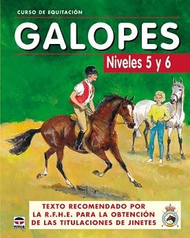 GALOPES NIVELES 5 Y 6 (CURSO DE EQUITACIÓN) | 9788479025625 | Llibreria Aqualata | Comprar llibres en català i castellà online | Comprar llibres Igualada