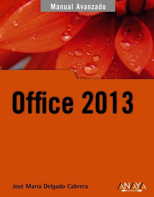 OFFICE 2013 | 9788441533608 | DELGADO, JOSÉ MARÍA | Llibreria Aqualata | Comprar libros en catalán y castellano online | Comprar libros Igualada