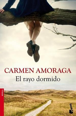 RAYO DORMIDO, EL | 9788423346714 | AMORAGA, CARMEN | Llibreria Aqualata | Comprar libros en catalán y castellano online | Comprar libros Igualada