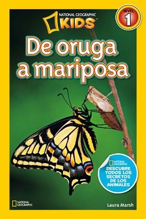 DE ORUGA A MARIPOSA | 9788482985619 | MARSH , LAURA | Llibreria Aqualata | Comprar libros en catalán y castellano online | Comprar libros Igualada