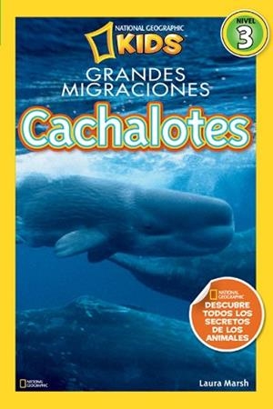 CACHALOTES | 9788482985633 | MARSH , LAURA | Llibreria Aqualata | Comprar libros en catalán y castellano online | Comprar libros Igualada