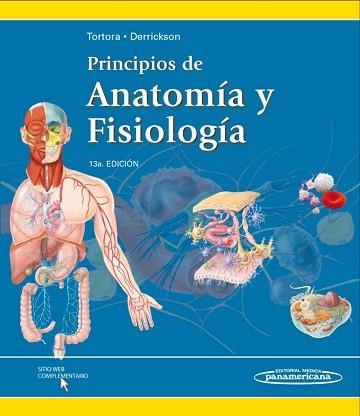 PRINCIPIOS DE ANATOMÍA Y FISIOLOGÍA - 13A. EDICIÓ | 9786077743781 | TORTORA, GERARD / DERRICKSON, BRYAN | Llibreria Aqualata | Comprar libros en catalán y castellano online | Comprar libros Igualada