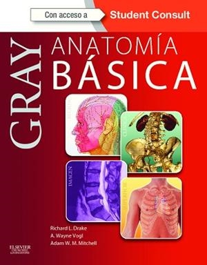GRAY. ANATOMÍA BÁSICA + STUDENTCONSULT | 9788480869423 | DRAKE, R.L./VOGL, A.W./MITCHELL, A.W.M. | Llibreria Aqualata | Comprar libros en catalán y castellano online | Comprar libros Igualada