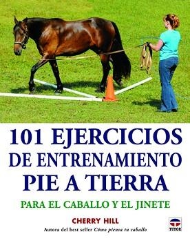 101 EJERCICIOS DE ENTRENAMIENTO PIE A TIERRA | 9788479029432 | HILL, CHERRY | Llibreria Aqualata | Comprar llibres en català i castellà online | Comprar llibres Igualada