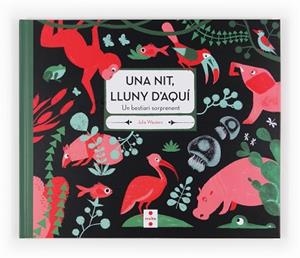 UNA NIT,LLUNY D'AQUI | 9788466131674 | WAUTERS, JULIA | Llibreria Aqualata | Comprar llibres en català i castellà online | Comprar llibres Igualada