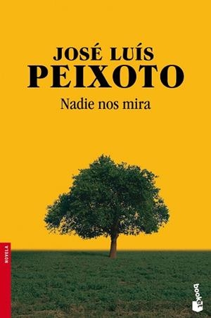 NADIE NOS MIRA | 9788415325932 | PEIXOTO, JOSÉ LUÍS  | Llibreria Aqualata | Comprar libros en catalán y castellano online | Comprar libros Igualada
