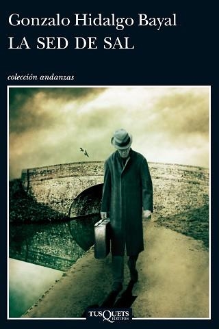 SED DE SAL, LA | 9788483837795 | HIDALGO BAYAL, GONZALO  | Llibreria Aqualata | Comprar llibres en català i castellà online | Comprar llibres Igualada