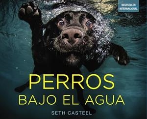 PERROS BAJO EL AGUA | 9788441534612 | CASTEL, SETH | Llibreria Aqualata | Comprar libros en catalán y castellano online | Comprar libros Igualada