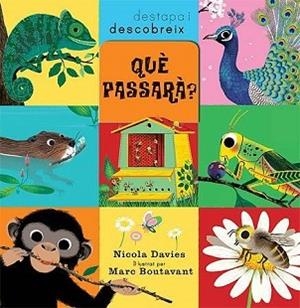 QUE PASSARÀ? DESTAPA I DESCOBREIX | 9788426139979 | Llibreria Aqualata | Comprar llibres en català i castellà online | Comprar llibres Igualada