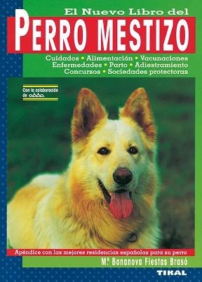PERRO MESTIZO | 9788430584253 | FIESTAS BRASO, Mª BONANOVA | Llibreria Aqualata | Comprar libros en catalán y castellano online | Comprar libros Igualada