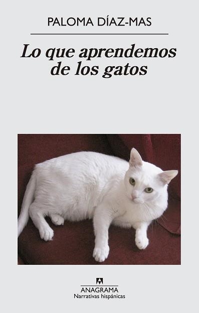 QUE APRENDEMOS DE LOS GATOS, LO | 9788433997807 | DÍAZ MAS, PALOMA | Llibreria Aqualata | Comprar libros en catalán y castellano online | Comprar libros Igualada