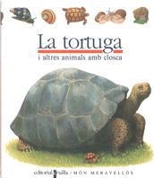 TORTUGA, LA (MON MERAVELLOS 24) | 9788476298206 | GALLIMARD JEUNESSE, ÉDITIONS | Llibreria Aqualata | Comprar libros en catalán y castellano online | Comprar libros Igualada